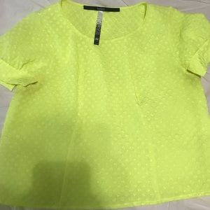 kensie - neon cropped blouse